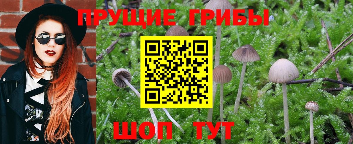 Псилоцибиновые грибы Magic Shrooms  Вход с VPN  Советск 